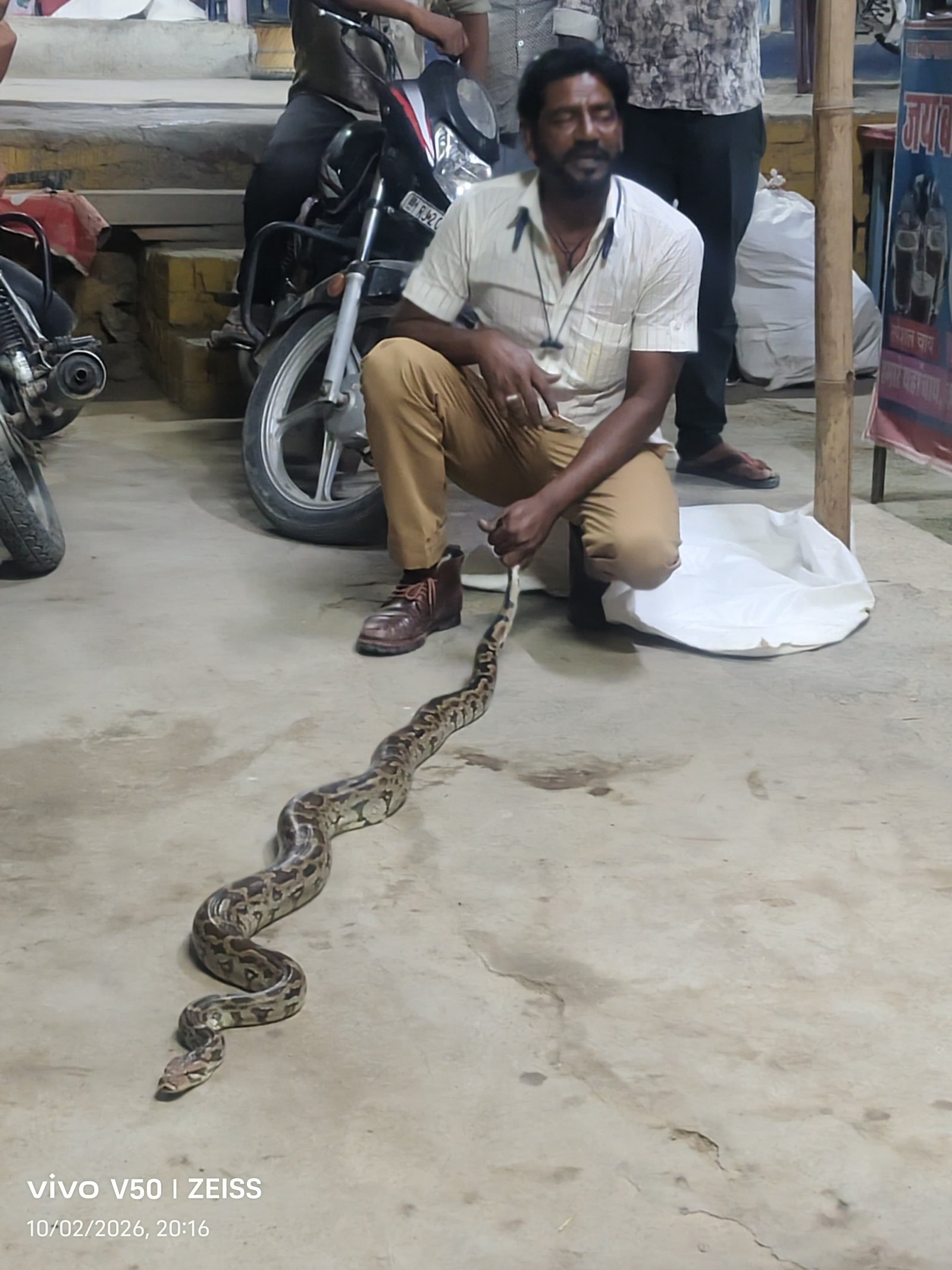 इटावा में रास्ते के बीच बैठा 8 फीट लंबा अजगर, पर्यावरण प्रेमी ने किया सुरक्षित रेस्क्यू