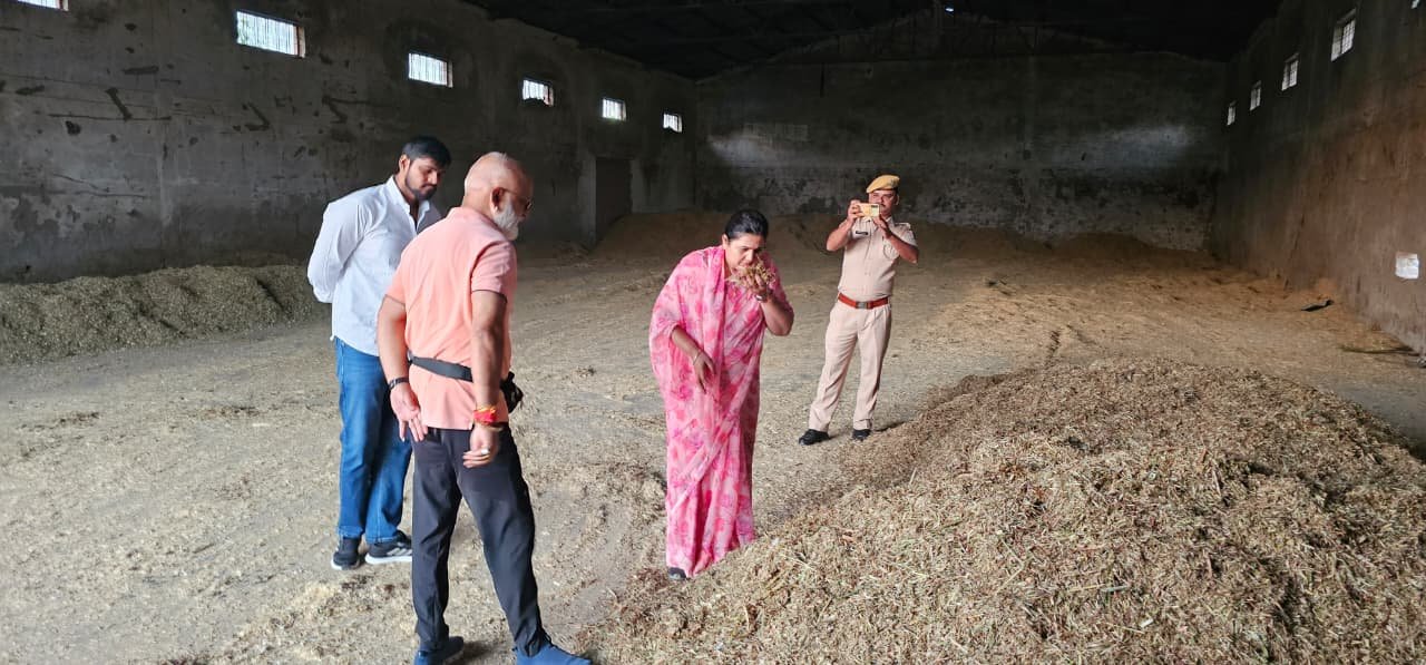 गौशाला में क्षमता से अधिक गोवंश, जगह की कमी