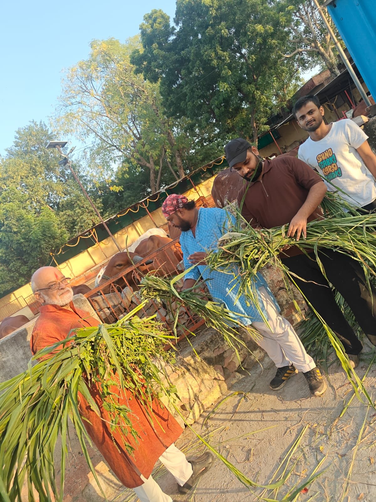 गौसेवा और जरूरतमंदों को भोजन वितरण कर दिया जनसेवा का संदेश