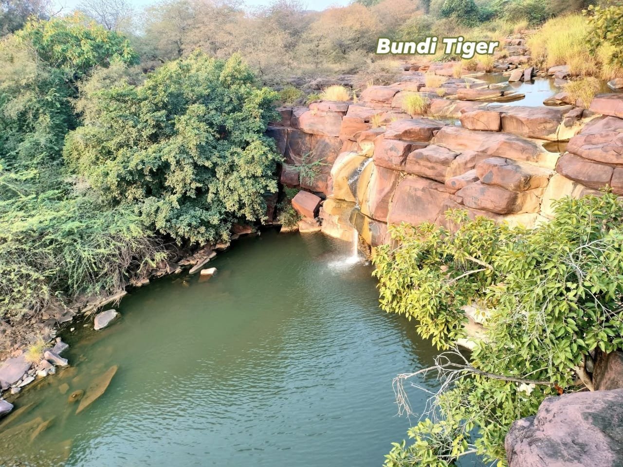 अक्टूबर में भी बूंदी के जंगलों में बह रहे प्राकृतिक झरने, पहाड़ी नालों में जारी है कलकल