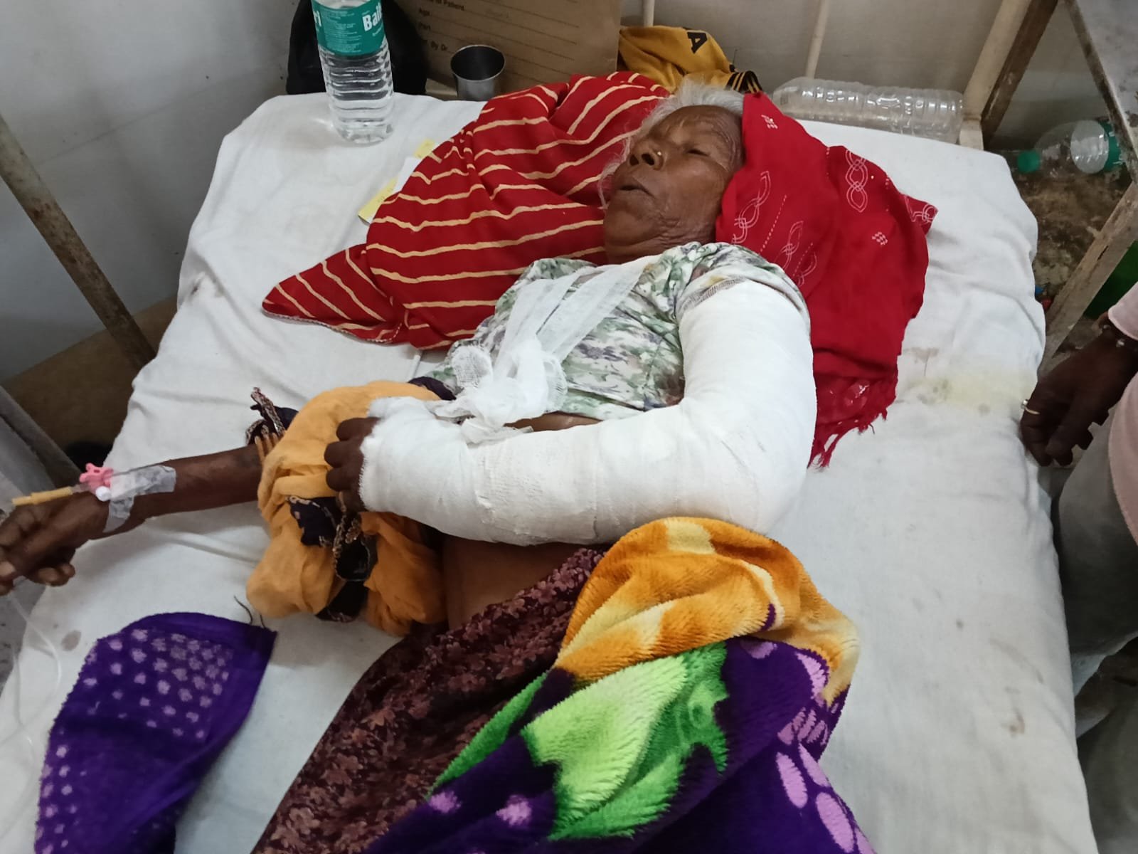 कुवारती मंडी के बाहर आवारा स्वानों का आतंक, वृद्ध महिला को 5-6 जगह नोचा