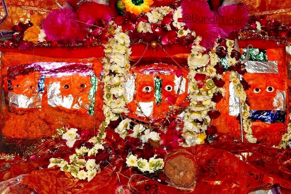 कालदां माता मंदिर के पास बाघिन का मूवमेंट, करवा चौथ पर दर्शन करने जाने वाले श्रद्धालु रहें सतर्क